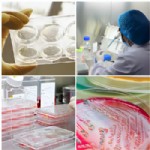 承接細(xì)胞實(shí)驗(yàn)委托